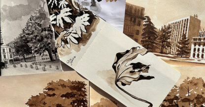 Dessin brou de noix N.Tournesac ©image Tournesac Nathalie