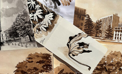 Dessin brou de noix N.Tournesac ©image Tournesac Nathalie