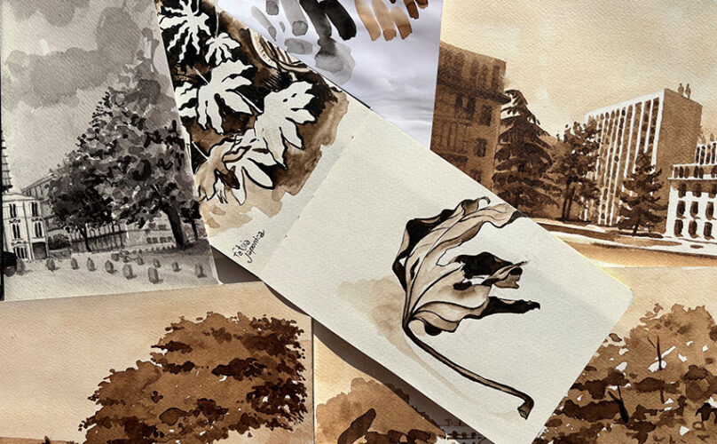 Dessin brou de noix N.Tournesac ©image Tournesac Nathalie