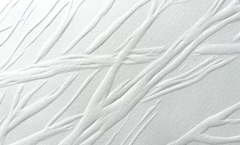 GAUFRAGE©D.Soudoplatoff V2