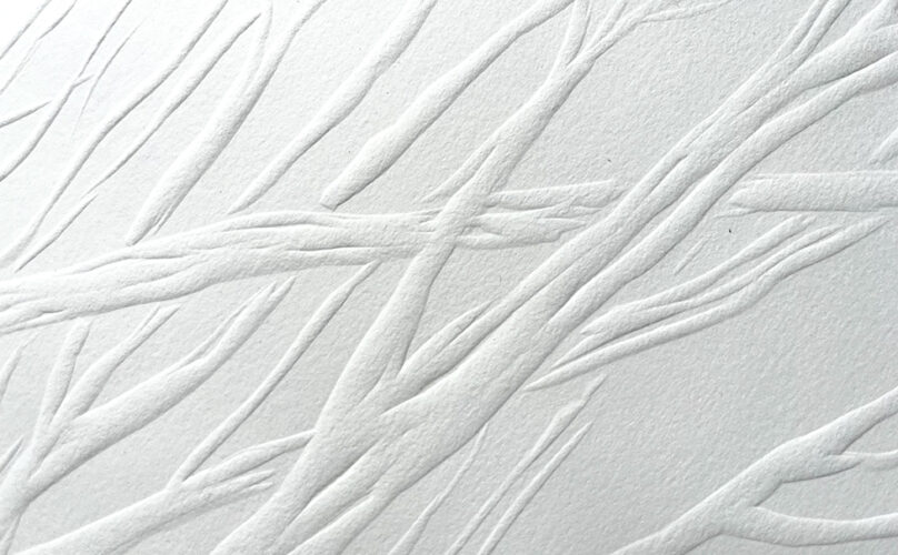 GAUFRAGE©D.Soudoplatoff V2