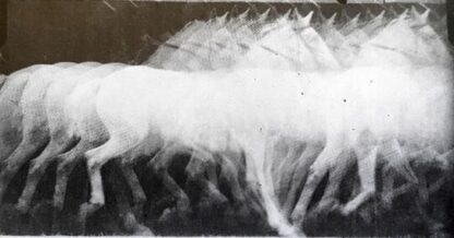 etienne-jules-marey-672-cronofotografia-di-cavallo-al-trotto-1886-c-a-particolare-542×300