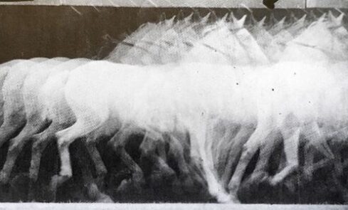 etienne-jules-marey-672-cronofotografia-di-cavallo-al-trotto-1886-c-a-particolare-542×300