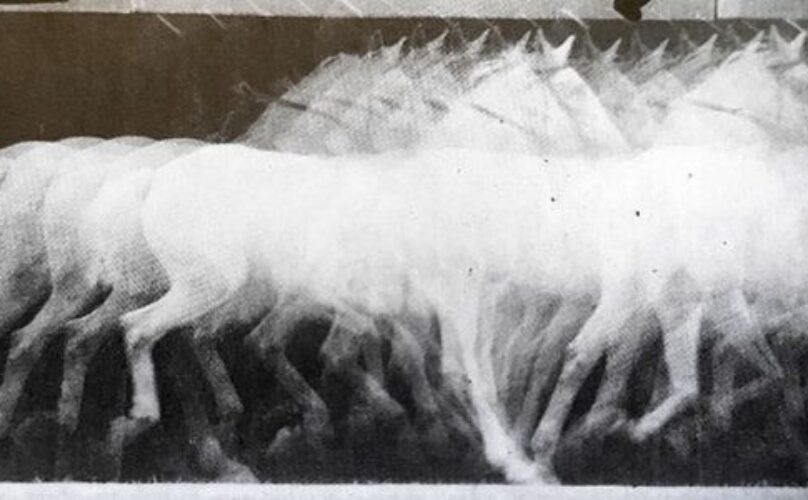 etienne-jules-marey-672-cronofotografia-di-cavallo-al-trotto-1886-c-a-particolare-542×300